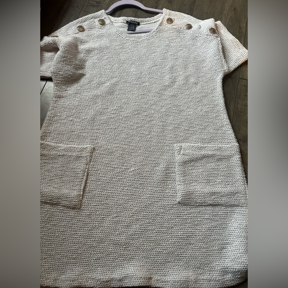 Women’s a large Dress sweater can wear with stocking or leggings worn once